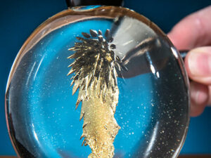 Colorful Magnetic Ferrofluid Sphere.jpg