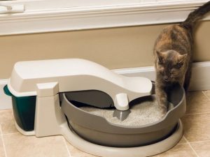 Continuous Cleaning Litter Box | Million Dollar Gift Ideas