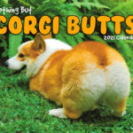 Corgi Butts Calendar