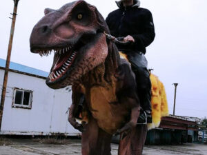 Cowboy Dinosaur Rider Costume.jpg