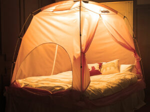 Cozy Privacy Bed Tent.jpg