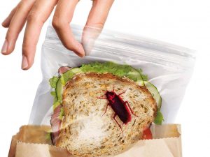 Crawling Insects Sandwich Bags | Million Dollar Gift Ideas