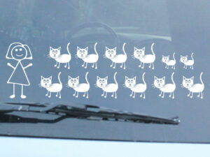 Crazy Cat Lady Family Car Sticker.jpg