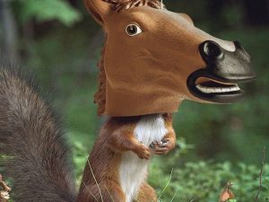 Creepy Horse Head Squirrel Feeder | Million Dollar Gift Ideas