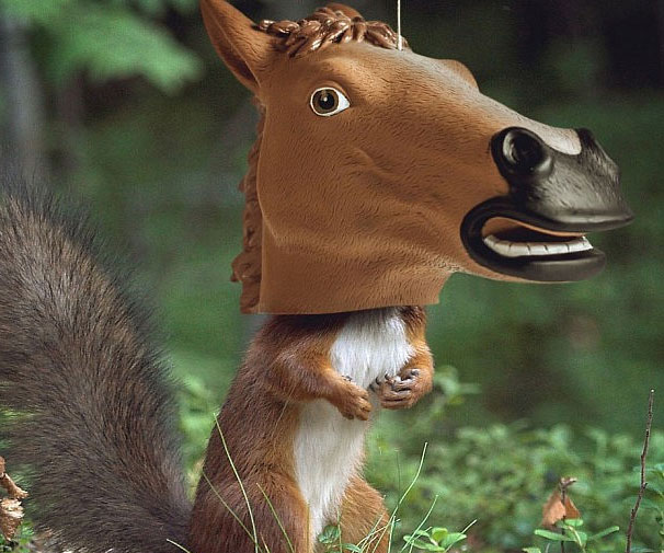 Creepy Horse Head Squirrel Feeder