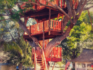 Custom Built Treehouses 1.jpg