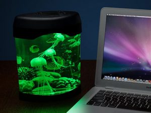 Desktop Jellyfish Aquarium | Million Dollar Gift Ideas
