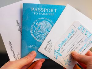 Destination Wedding Passport Invitations | Million Dollar Gift Ideas
