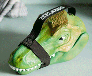 Dinosaur Head Lunchbox 2