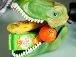 Dinosaur Head Lunchbox | Million Dollar Gift Ideas