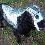 Dog Knight Armor 1