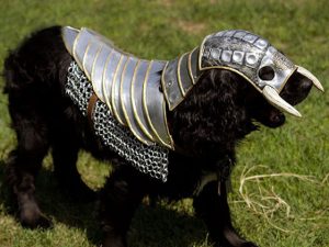 Dog Knight Armor | Million Dollar Gift Ideas