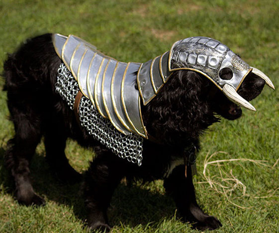 Dog Knight Armor
