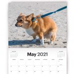 Dogs Pooping Calendar 1