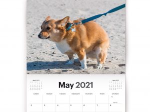 Dogs Pooping Calendar 1