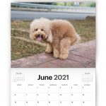 Dogs Pooping Calendar 2