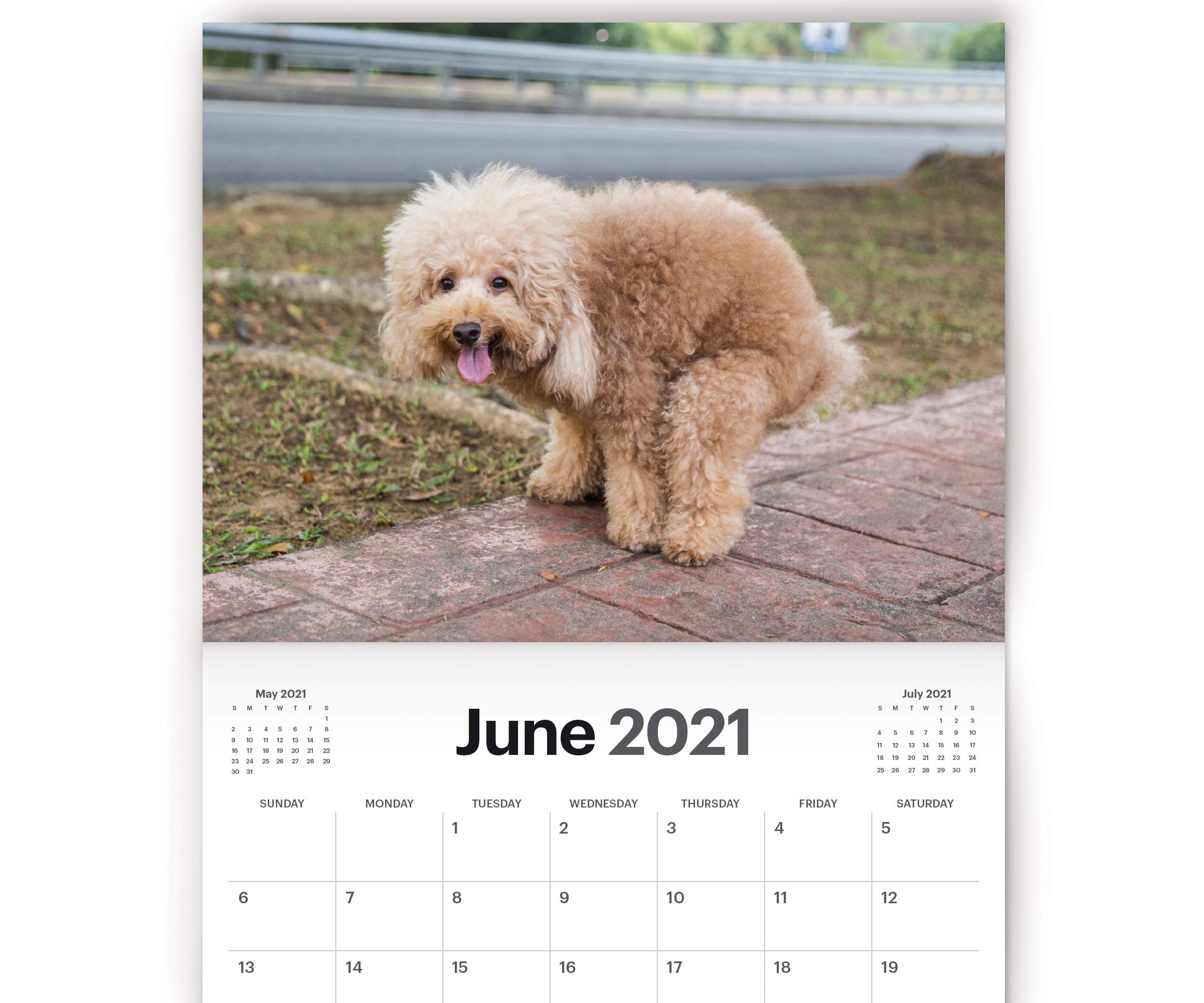 Dogs Pooping Calendar 2
