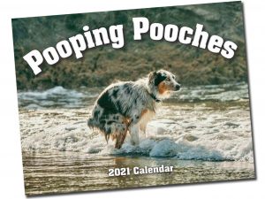 Dogs Pooping Calendar | Million Dollar Gift Ideas