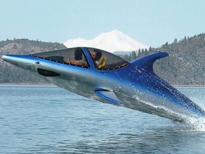 Dolphin Power Boat | Million Dollar Gift Ideas