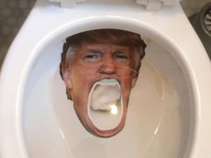 Donald Trump Toilet Bowl Decal | Million Dollar Gift Ideas