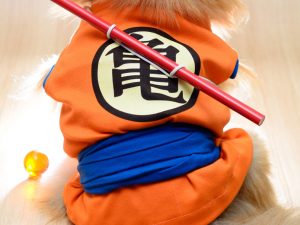 Dragon Ball Z Goku Dog Costume | Million Dollar Gift Ideas