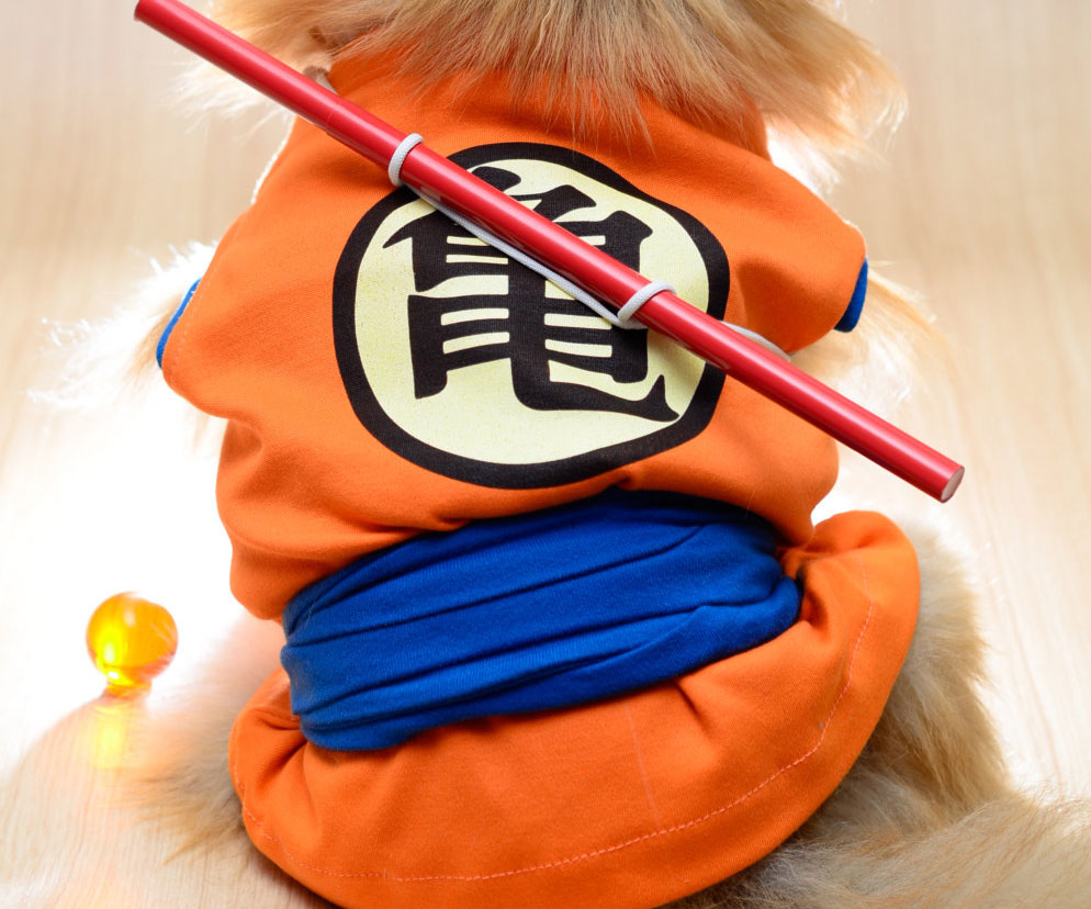 Dragon Ball Z Goku Dog Costume