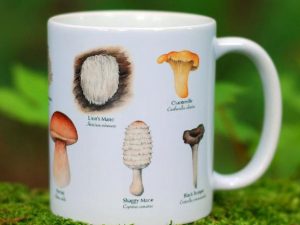 Edible Mushroom Species Mug 1