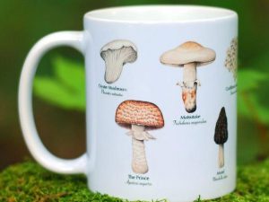 Edible Mushroom Species Mug | Million Dollar Gift Ideas