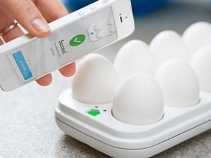 Egg Replacement Smart Tray | Million Dollar Gift Ideas