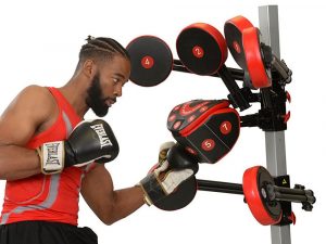 FightMaster Boxing Trainer | Million Dollar Gift Ideas