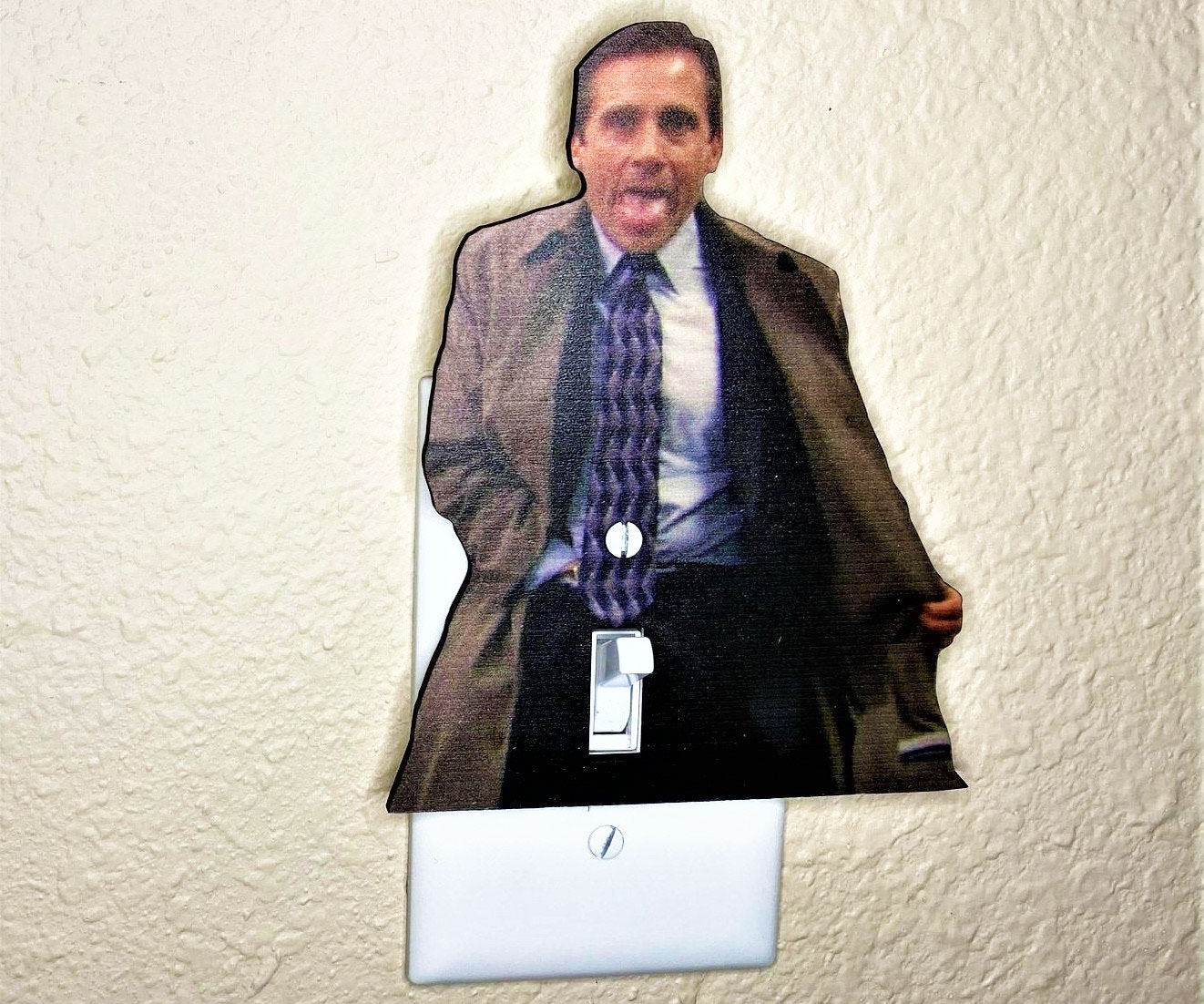 Flashing Michael Light Switch Cover