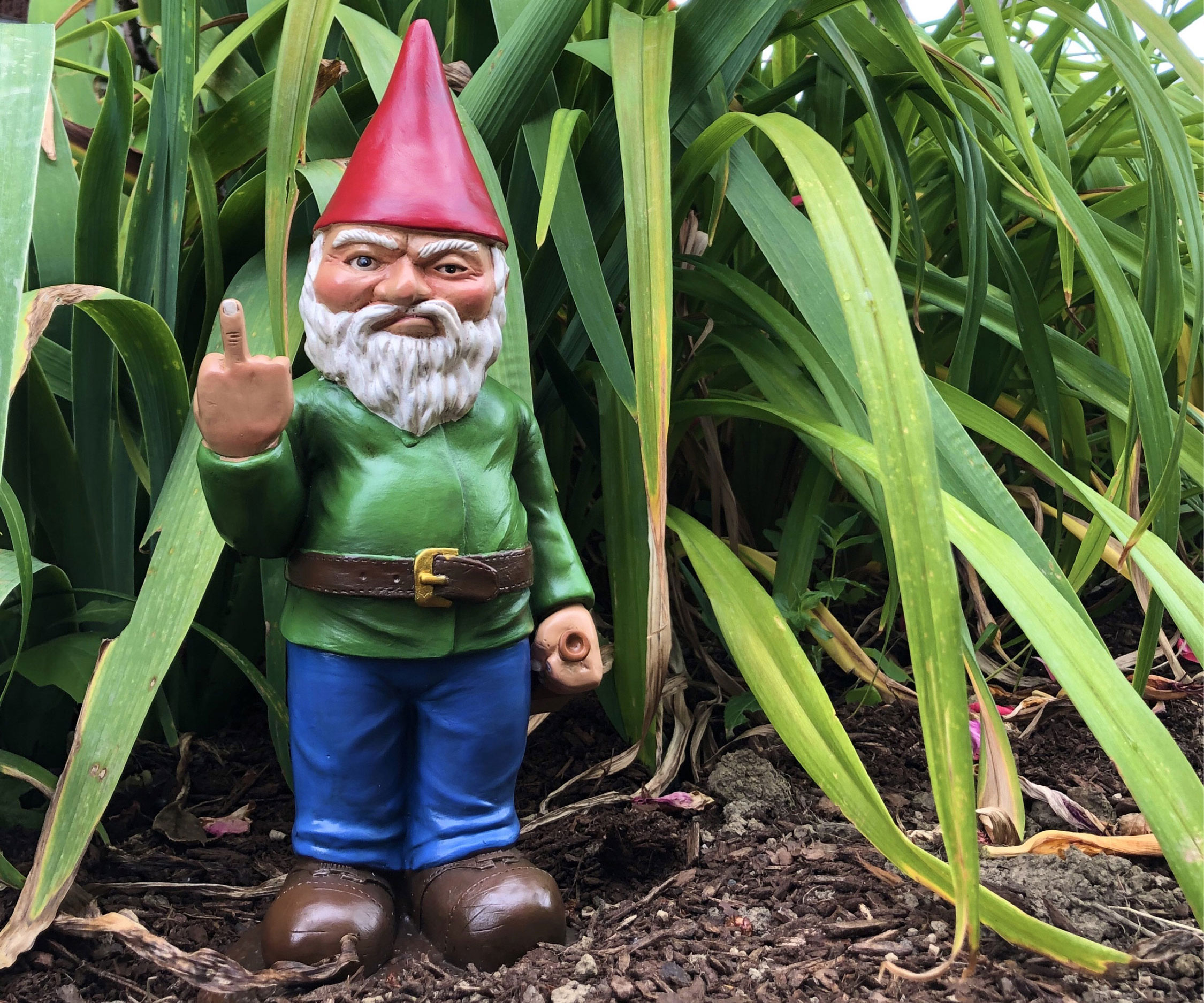 Flippy Garden Gnome 1