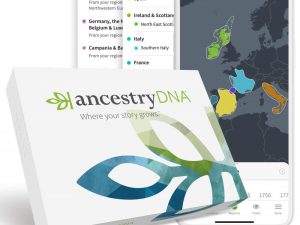 Genetic Ancestry DNA Test Kit | Million Dollar Gift Ideas