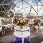 Geodesic Backyard Garden Dome 1
