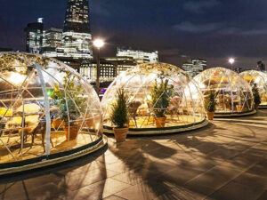 Geodesic Backyard Garden Dome | Million Dollar Gift Ideas