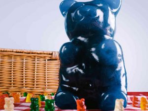 Giant Gummy Bear | Million Dollar Gift Ideas