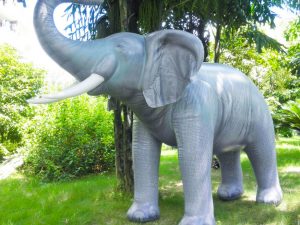 Giant Inflatable Elephant | Million Dollar Gift Ideas