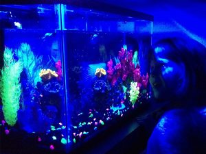 Glow In The Dark Aquarium | Million Dollar Gift Ideas