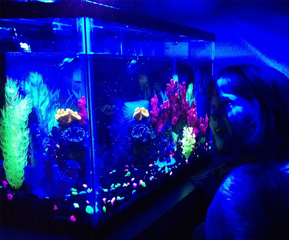 Glow In The Dark Aquarium