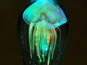 Glow In The Dark Jellyfish Paperweight | Million Dollar Gift Ideas