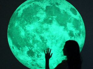 Glow In The Dark Moon Sticker | Million Dollar Gift Ideas