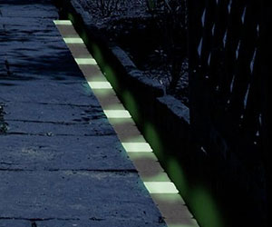 Glow In The Dark Path Markers