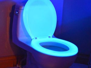Glow In The Dark Toilet Seat | Million Dollar Gift Ideas