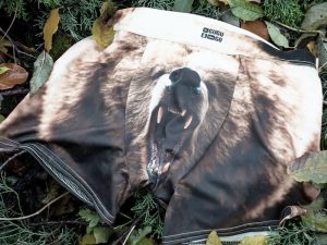 Grizzly Bear Underwear | Million Dollar Gift Ideas