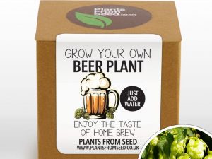 Grow Your Own Beer Plant | Million Dollar Gift Ideas