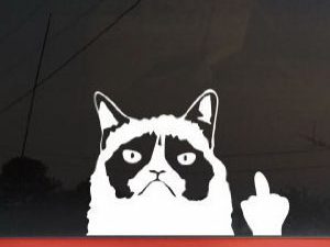 Grumpy Cat Car Decal | Million Dollar Gift Ideas