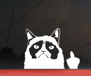 Grumpy Cat Car Decal