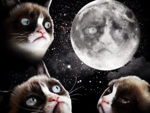 Grumpy Cat Three Moon Shirt 1