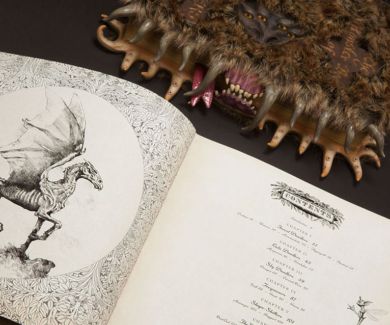 Harry Potter Monster Book Of Monsters 2
