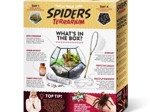 Hatch Your Own Spiders Terrarium 1